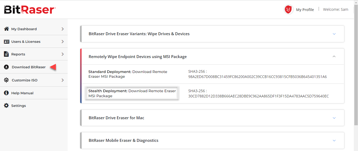 Download BitRaser Drive Eraser ISO from Cloud Console