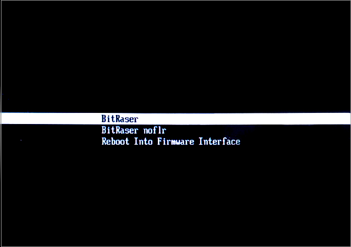 Go to  Boot Menu, then Select BitRaser USB & Press Enter