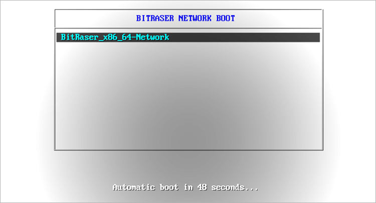 BitRaser-Network-Boot-Screen