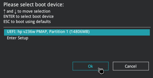 UEFI Menu of Asus laptop and HP BitRaser Bootable USB highlighted