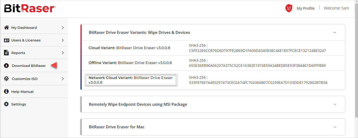 BitRaser Cloud Console Download BitRaser pane with focus on Network Cloud Variant