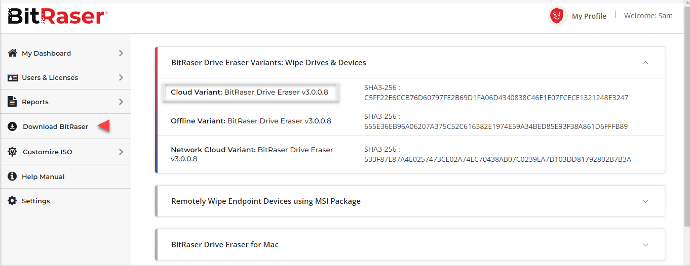 BitRaser Cloud Console download section with the BitRaser Drive Eraser cloud variant option highlighted