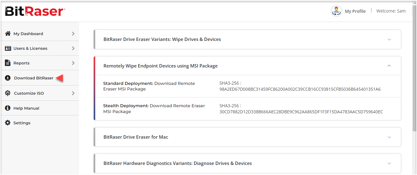 Download BitRaser Panel in BitRaser Cloud Console