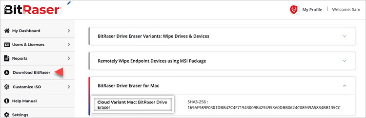 BitRaser Cloud Console Download BitRaser section highlighted