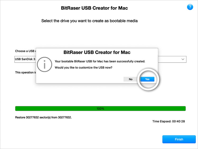 Möchten Sie den USB jetzt anpassen? Bildschirm BitRaser USB Creator