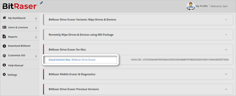 BitRaser Cloud Console Download BitRaser Screen