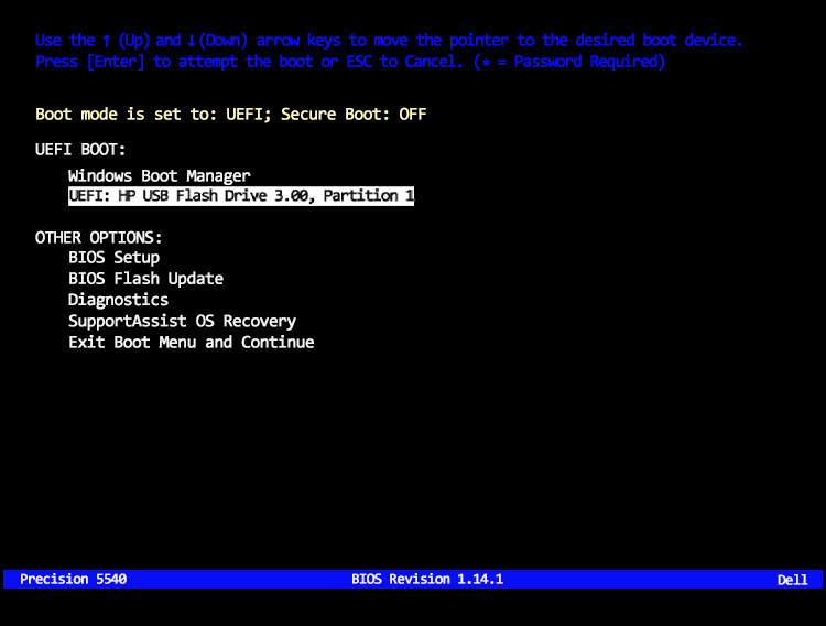 Screenshot of a BIOS boot menu showing options to select a boot device. The highlighted option is shows the selection of a BitRaser USB drive for booting. 