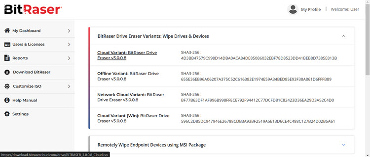 Image shows all the variants of BitRaser Drive Eraser - Cloud, offline, network cloud, cloud (Windows)