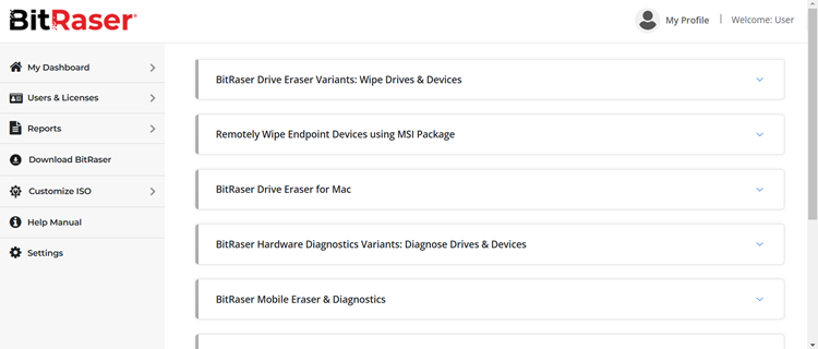 Image showing the BitRaser products available for download 