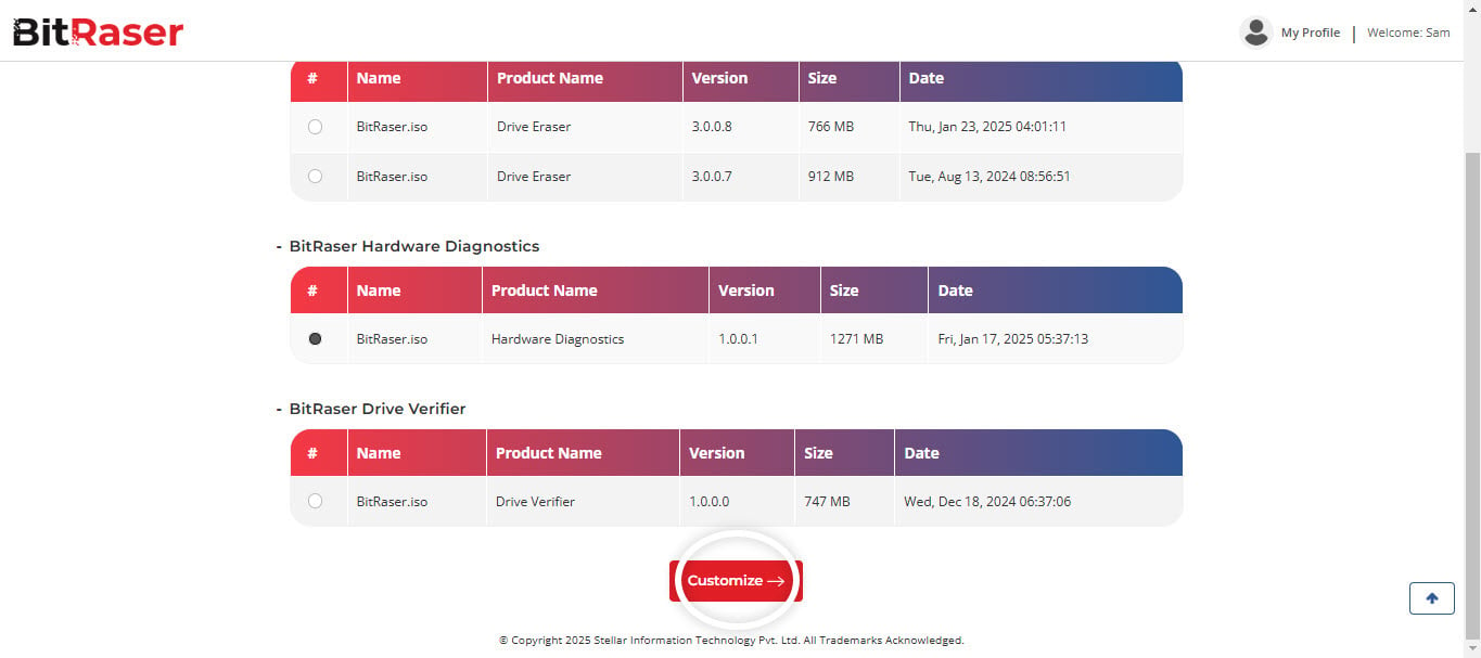 BitRaser ISO Customization Main Screen