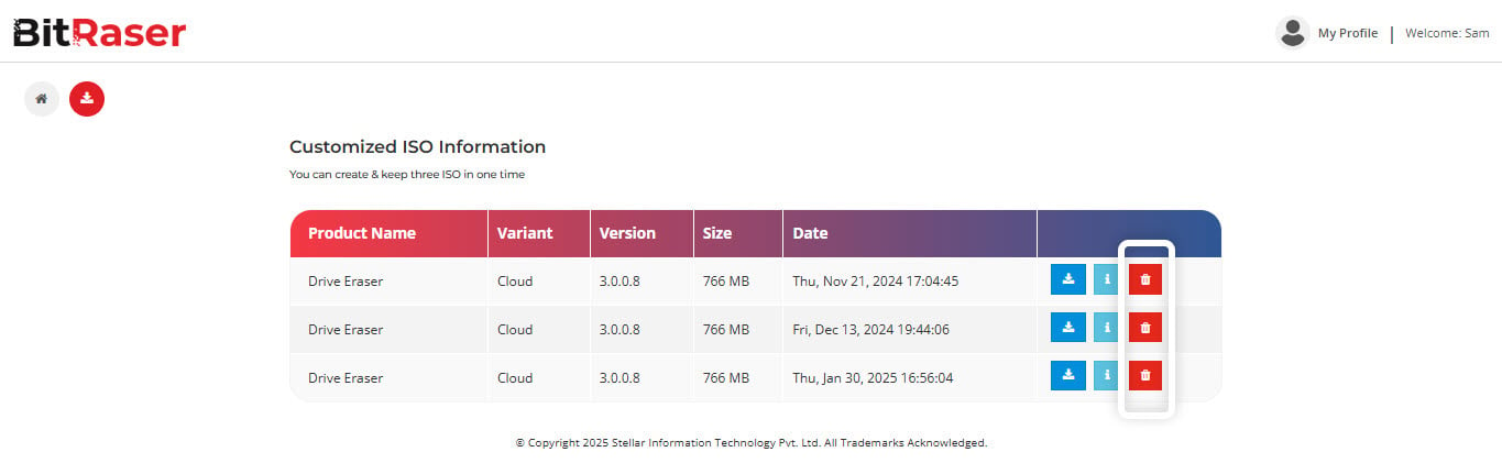 Delete Customized ISO file screen BitRaser Cloud