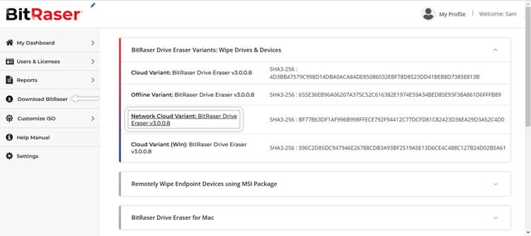 BitRaser Cloud Console Download BitRaser Screen